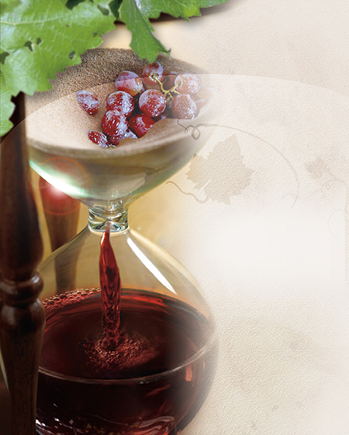 Grape Time Wine Tasting Theme Concept